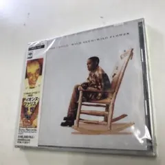 Item thumbnail for item 9c33219c-48ca-452b-b6d6-41dc613070d4