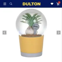 DULTON PLANTS WATER GLOBE BOOPHANE