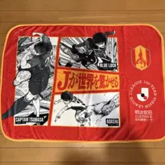 Jリーグ100周年記念ブランケット ヴァンラーレ八戸 - メルカリ