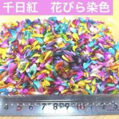 千日紅　花びら染色
