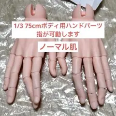 Item thumbnail for item 22d7bacc-7d08-4ff8-abd4-a181eca87699