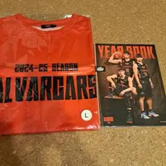 ALVARK 2024-25シーズン Tシャツ Lサイズ
