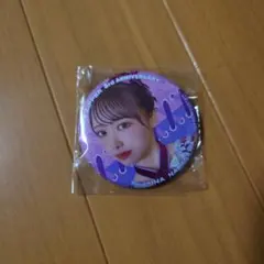 fruitszipper 缶バッジ