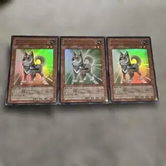 遊戯王 柴戦士タロ 3枚セット