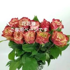 [花花様]ご専用ページです