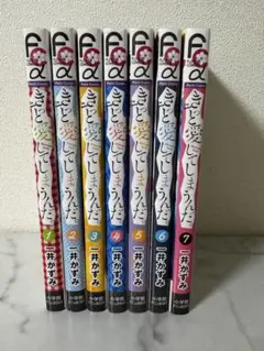 きっと愛してしまうんだ。 全巻 セット 一井かずみ