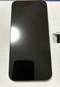 iPhone16 pro max 256GB