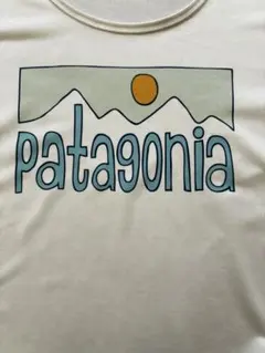 パタゴニア　Tシャツ キャプリーン
