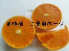 まゆ様　ご専用ページ