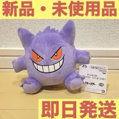 《ポケモン/ポケットモンスター》ぬいぐるみ ゲンガー ジュペッタ ヒトモシ