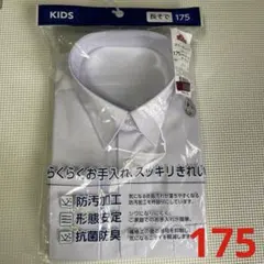 Item thumbnail for item eb804eda-ea41-4370-87bb-5c9d8cd18b73