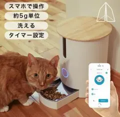 Item thumbnail for item c4545882-83ce-4958-97b9-60a77d536a9b