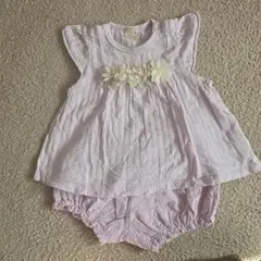 petit main セットアップ 80