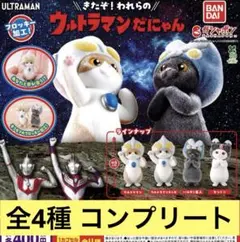【新品/未使用】ウルトラマンだにゃん 全4種 コンプ ガチャ
