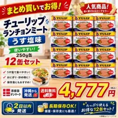 チューリップ ランチョンミート うす塩 12缶 250g 保存食 備蓄 スパムのサムネイル