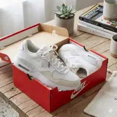 【未使用】NIKE エア マックス SYSTM 25cm 箱付き