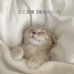 ここあ様【専用ページ】