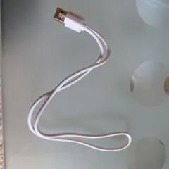 USB-A to Micro USBケーブル 約30cmホワイト