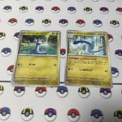 ポケモンカード　メガドリーム