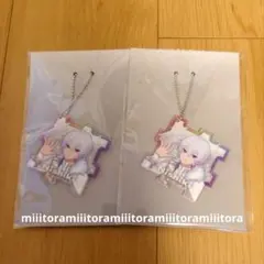 STPR すにすて にしき パズルキーホルダー ホログラムクリアカード