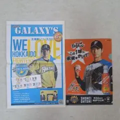 2025年最新】北海道日本ハムファイターズ 種類：新聞/スポーツ