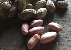 まさ様 リクエスト 2点 まとめ商品