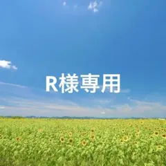 ★ R様専用★ナースオーガナイザー　ペンケース