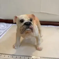 父の日 ビール泡わんこ│ダックス ギフト 羊毛フェルト 犬 ミニ 6月 