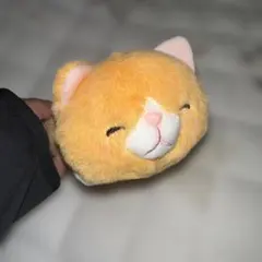 オレンジ猫のぬいぐるみ 青いバンド付き