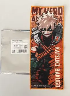 Item thumbnail for item 86297314-f599-4997-9a80-a18b3b5b1754