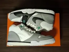 NIKE エアトレーナー1 クロロフィル 26cm