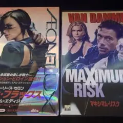 イーオンフラックス　マキシマムリスク　DVD