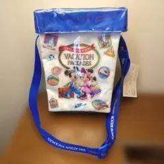 非売品 ディズニー バケーションパッケージ ウェットシートポケット付バッグ未使用のサムネイル