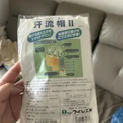 Item thumbnail for item 7d999076-3f1b-4747-a784-cd58bf0f4fd4