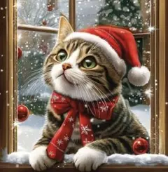 猫 アート・写真