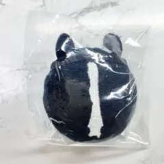 新品未使用品　サラブレッドコレクション ぷらさぷ BOX サラブレッドコレクション ぷらさぷ BOXセット｜netkeiba