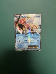 MギャラドスEX RR XY9 破天の怒り 019/080PSA10 MギャラドスEX RR XY9 破天の怒り 019/080PSA10 - メルカリ