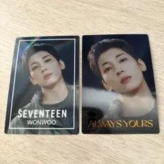 SEVENTEEN ウエハース シール ウォヌ