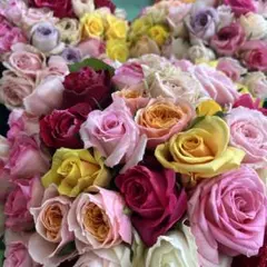 まるねこ様 リクエスト 2点 まとめ商品