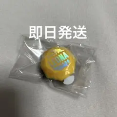 ツイステ レオナ リングライト