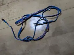 Item thumbnail for item c6fc48a0-d0c3-4f36-bf6f-3f0247c0d357