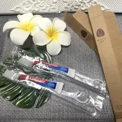 Item thumbnail for item 00f2eab9-a028-4439-8f42-5acad612341e