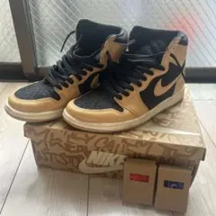 NIKE エアジョーダン1 ハイ OG “Vachetta Tan”