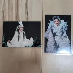 瀬奈じゅん エリザベート 写真 ミュージカル 宝塚歌劇団 2枚セット