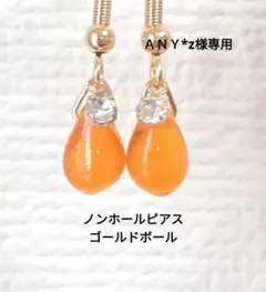 ＡＮＹ*z様 リクエスト 2点 ノンホールピアスセット