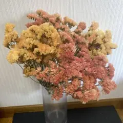 専用　2セット　スターチス　ドライフラワー オレンジ系40