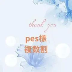 pes様 おまとめ2点