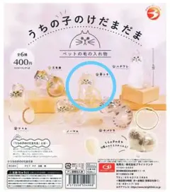 Item thumbnail for item 434a56c6-bb4e-47fc-81b1-d3d25e11204b