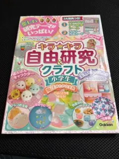 【ひーちゃん様専用キラ★キラ自由研究&クラフト 小学生】