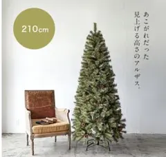 クリスマスツリー　Alsaceのサムネイル